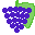 szőlő